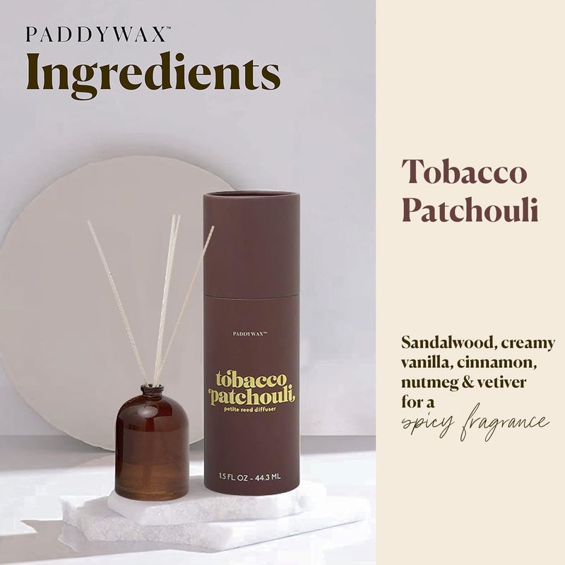 Paddywax Candles Petite Collection, Reed Diffuser for Home Use, Amber - Tobacco Patchouli - Image 2